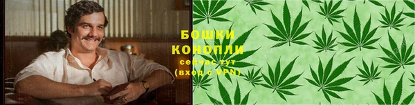 шишки Лиски