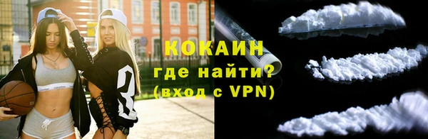 шишки Лиски