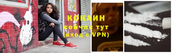 шишки Лиски