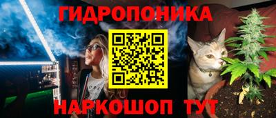 крисы Конаково