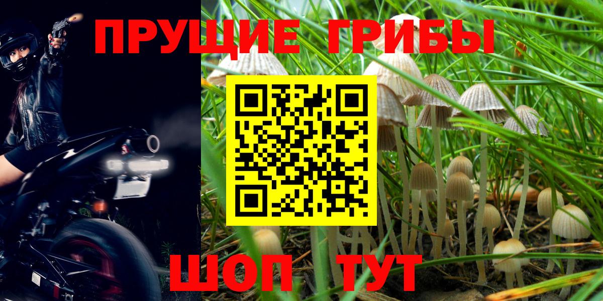 Псилоцибиновые грибы Magic Shrooms Черняховск