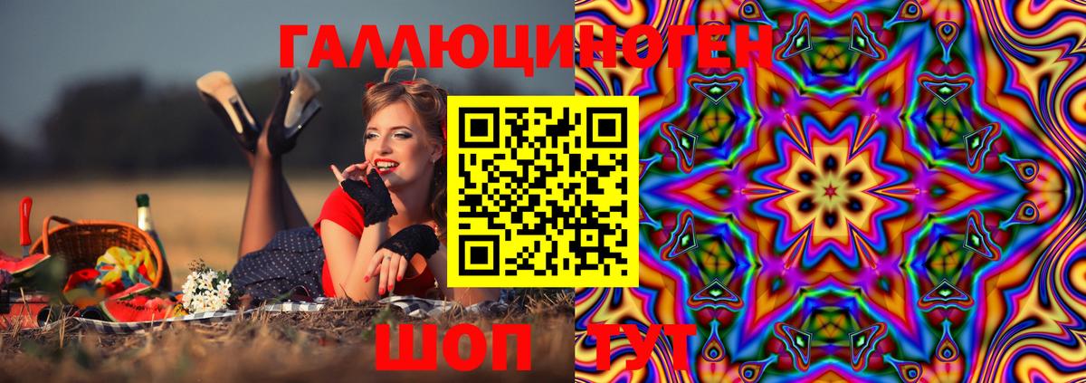 Галлюциногенные грибы Psilocybine cubensis  Галлюциногенные грибы Cubensis  Черняховск  Вход с VPN 